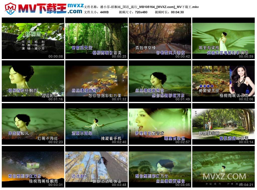 潘小芬-梧桐雨_国语_流行_MB105164